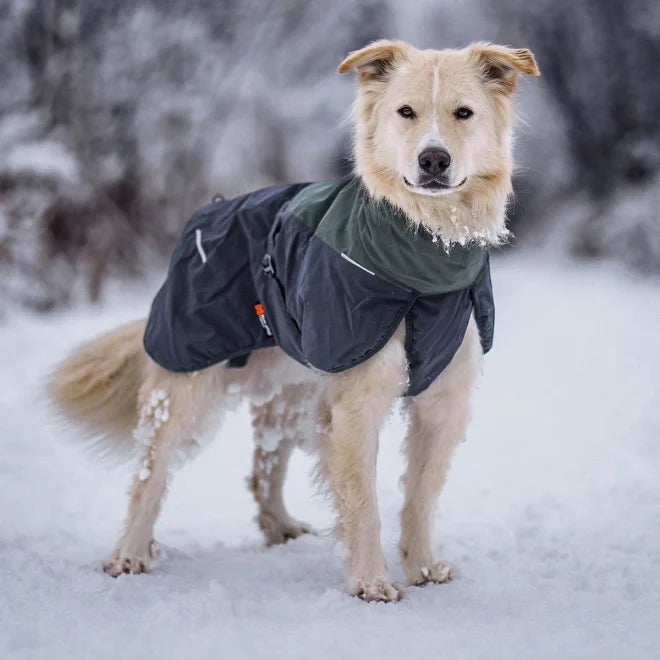 Hundemantel "Glacier Jacket" von Non-stop dogwear