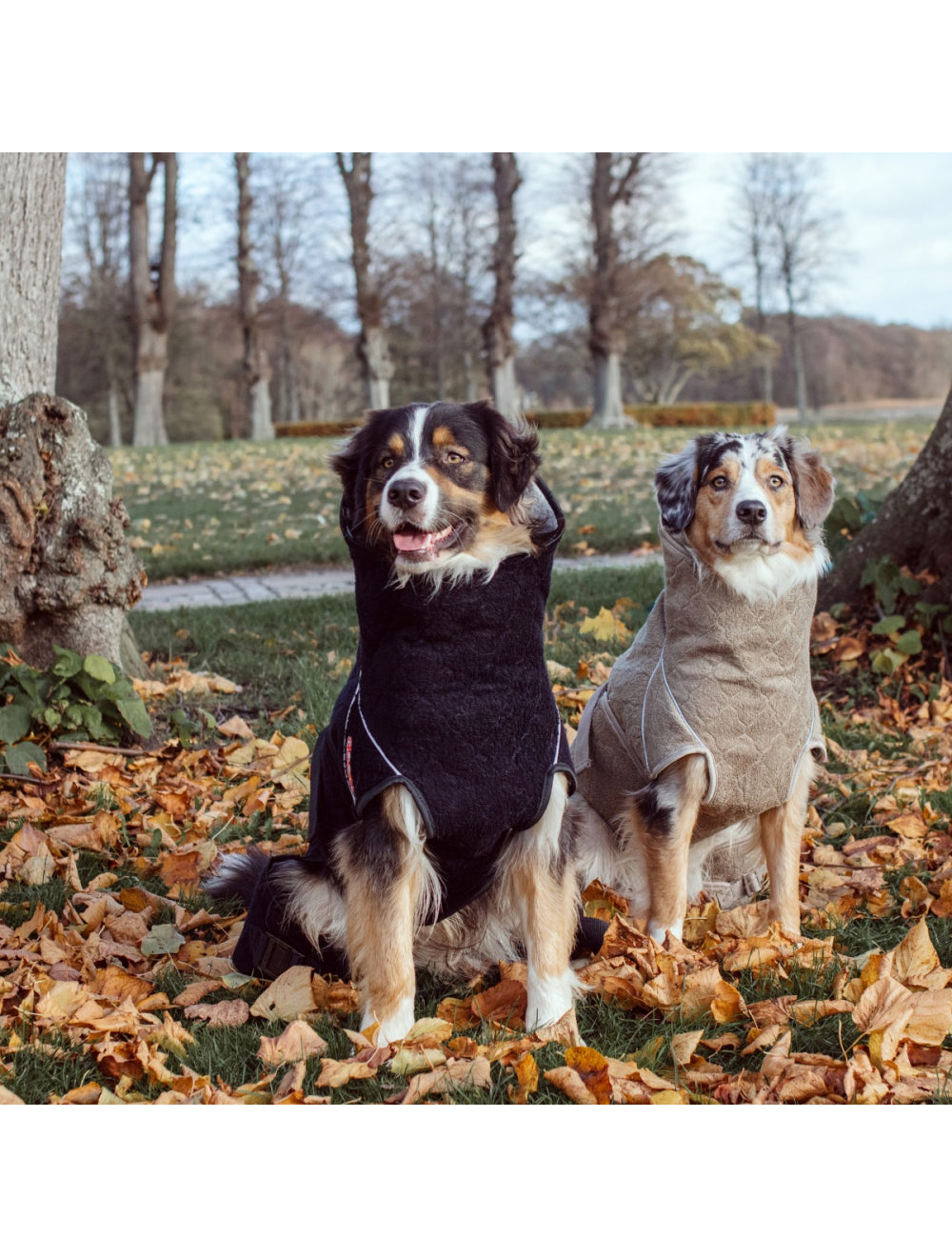 Trockenmantel "Solution" Siccaro