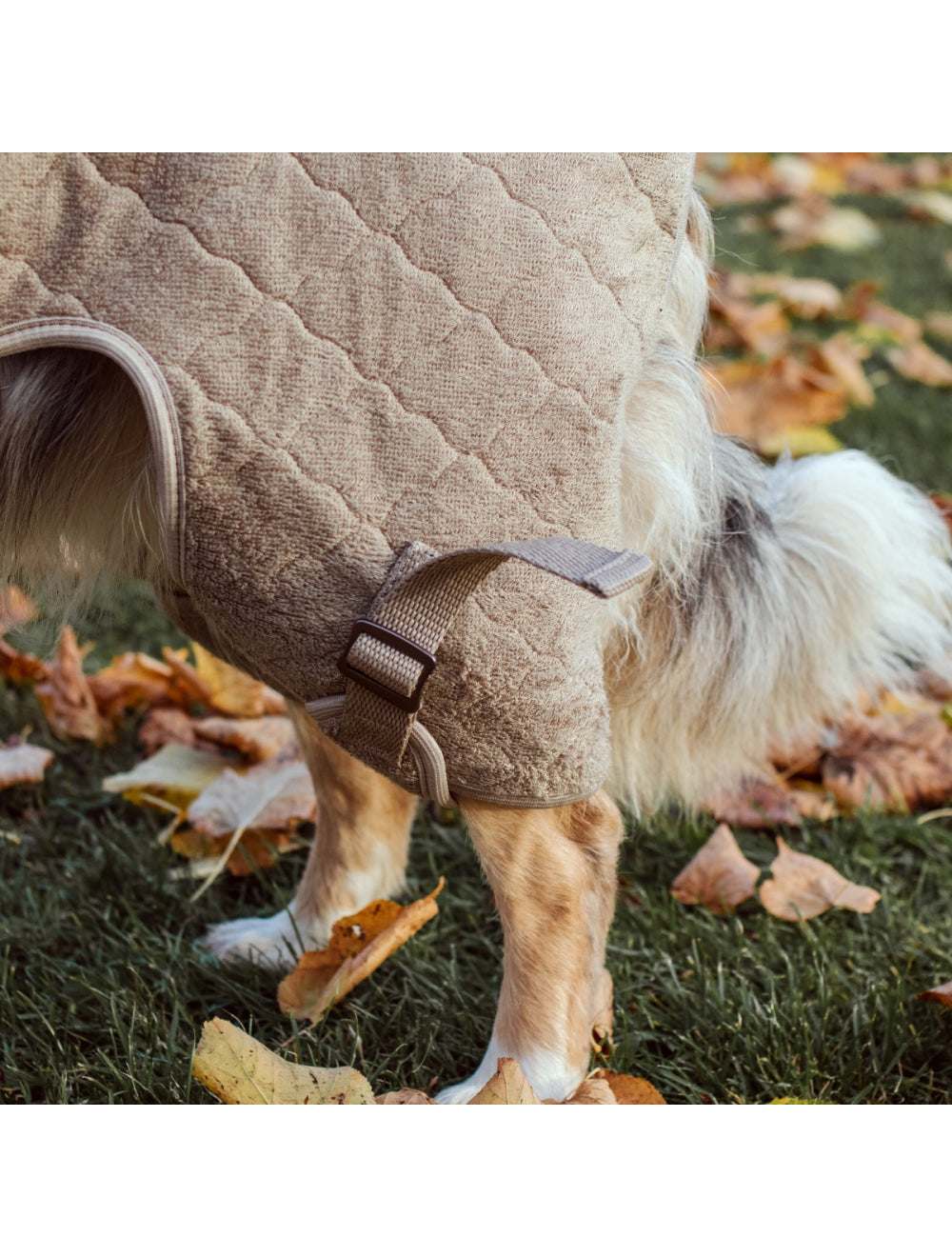 Trockenmantel "Solution" Siccaro