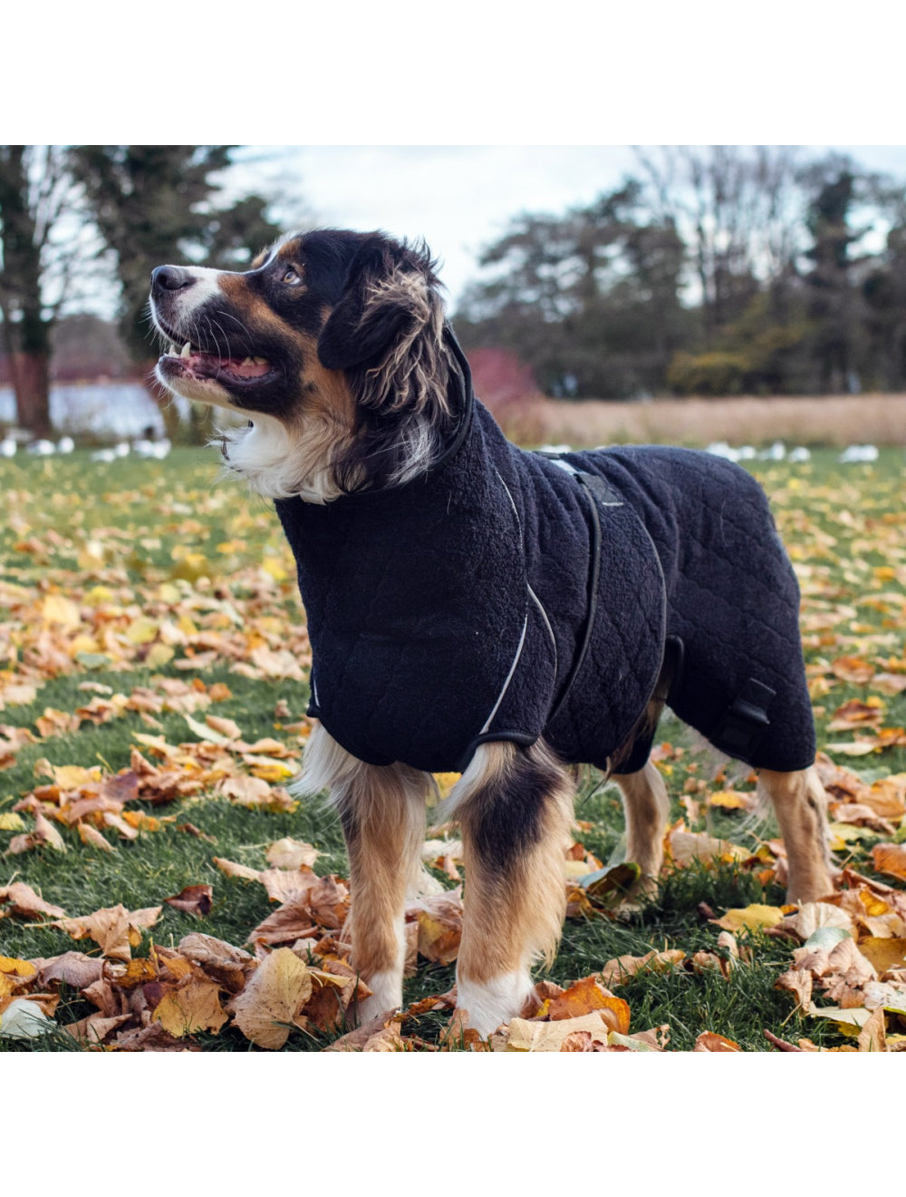 Trockenmantel "Solution" Siccaro