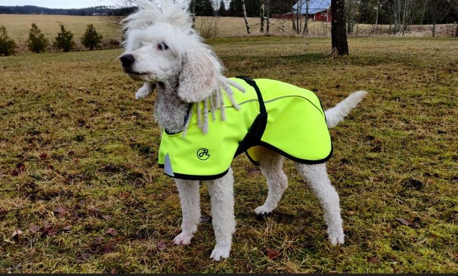 Softshellmäntel Neon von HelsiTar