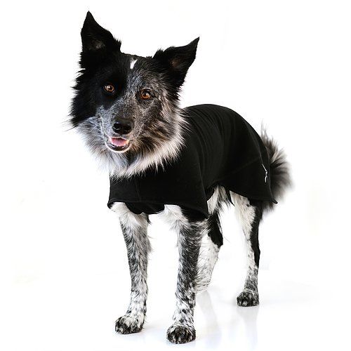 Hundemantel "Power Stretch" Out-n-out