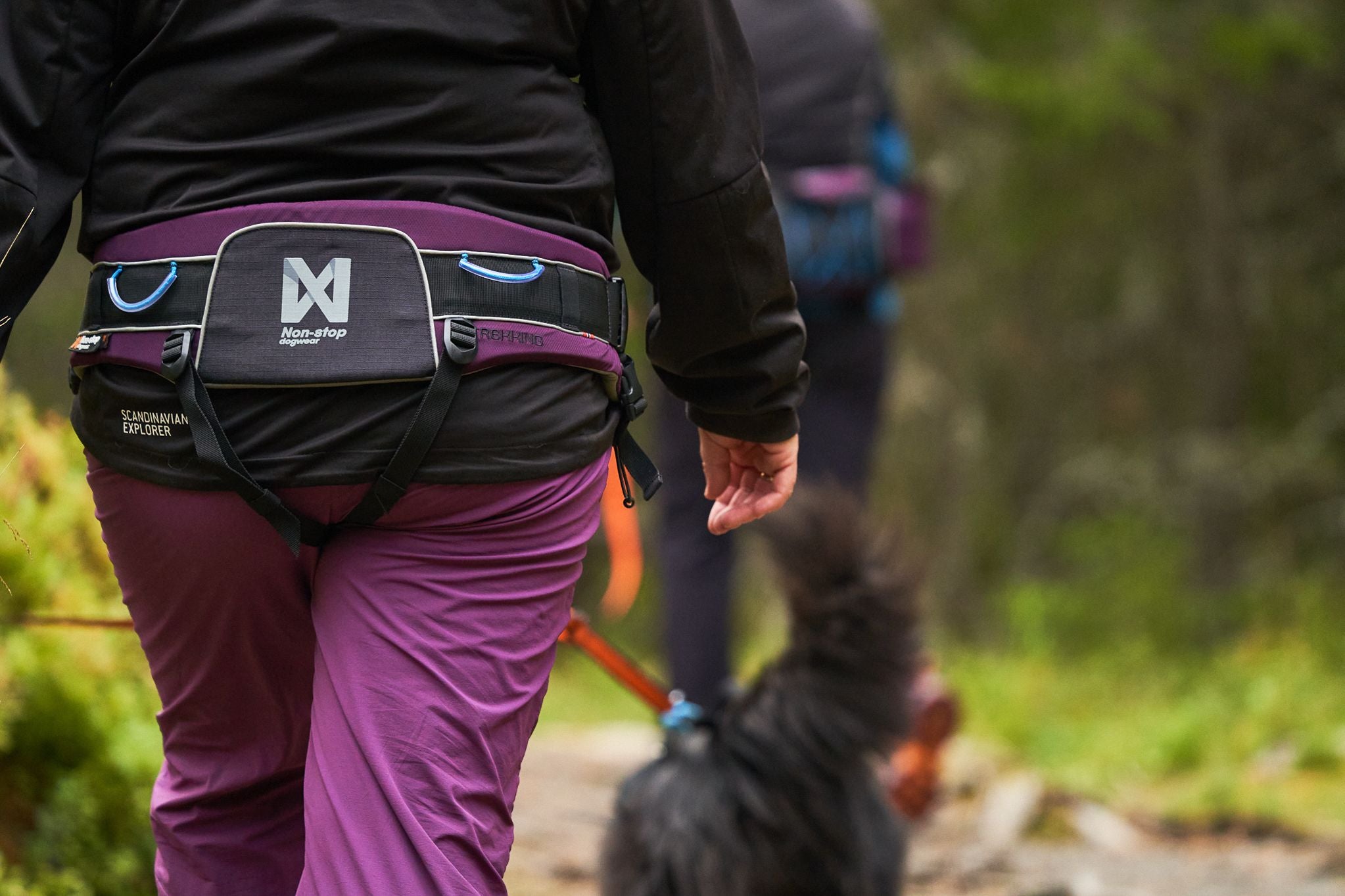 Gurt "Trekking Belt" von Non-stop dogwear