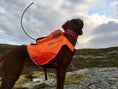Bild in Galerie-Betrachter laden, Hundemantel "Protector Vest GPS" von Non-stop dogwear
