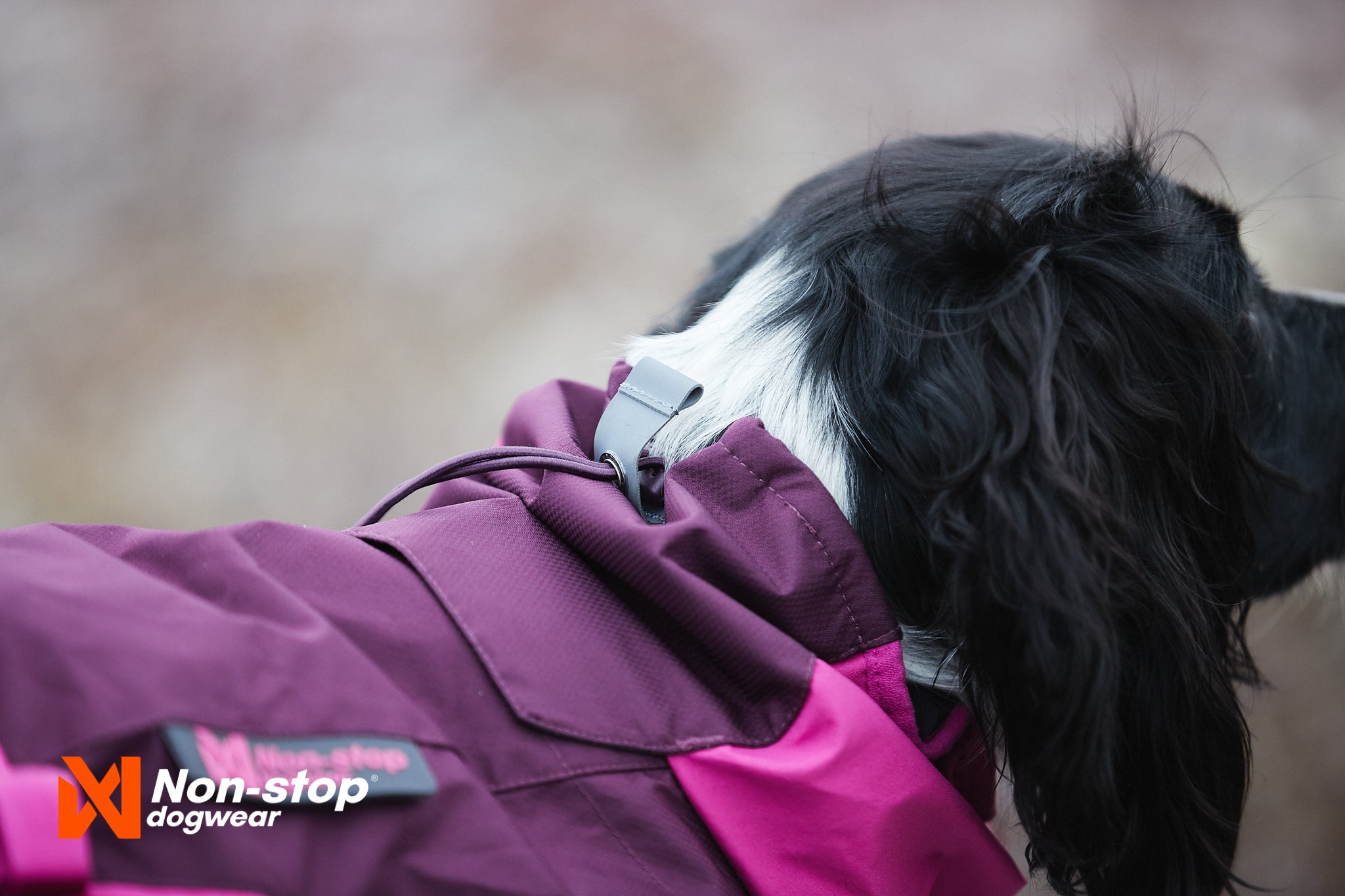Hundemantel "Glacier Jacket" von Non-stop dogwear