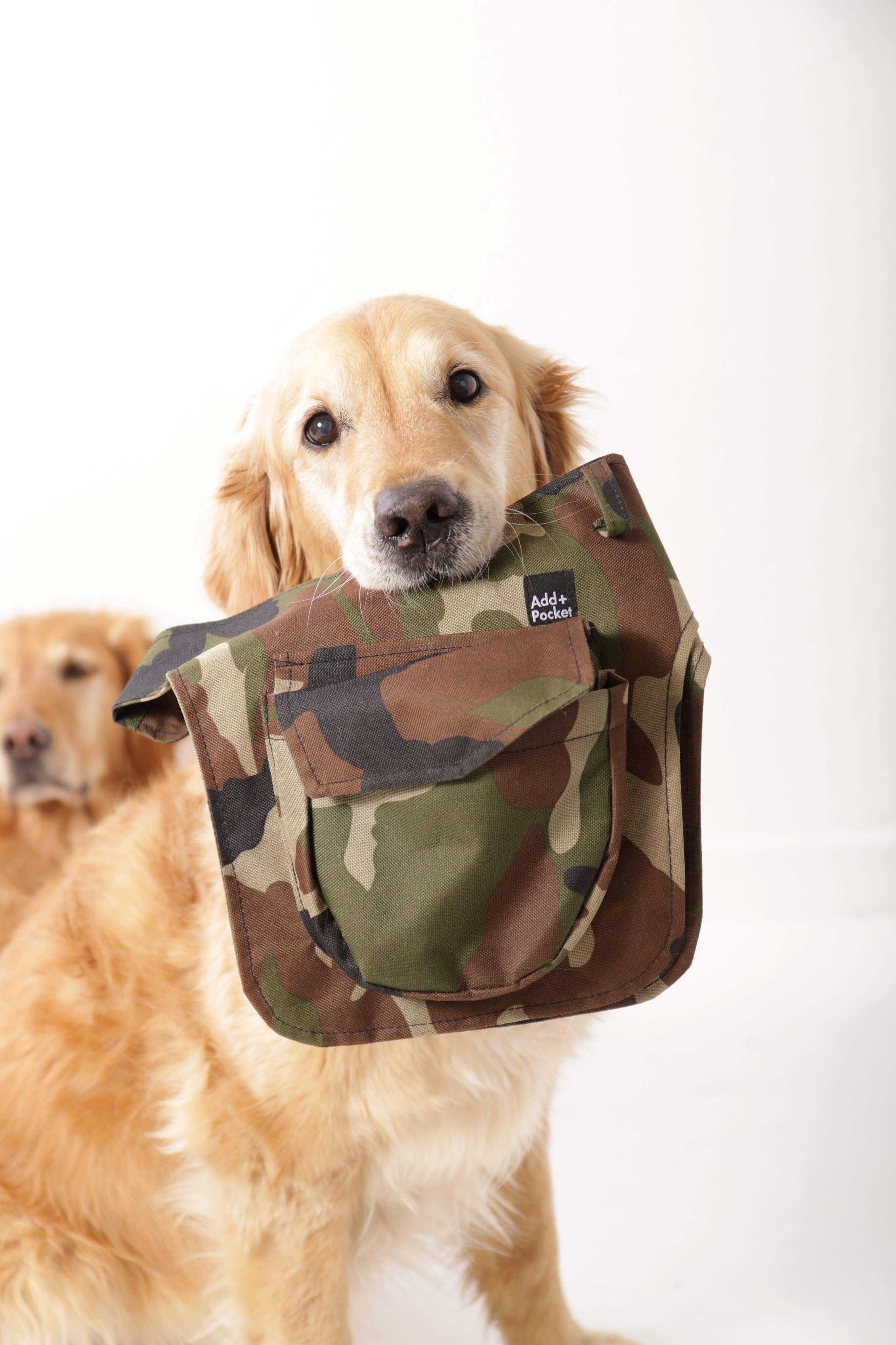 Hüfttasche AddPocket