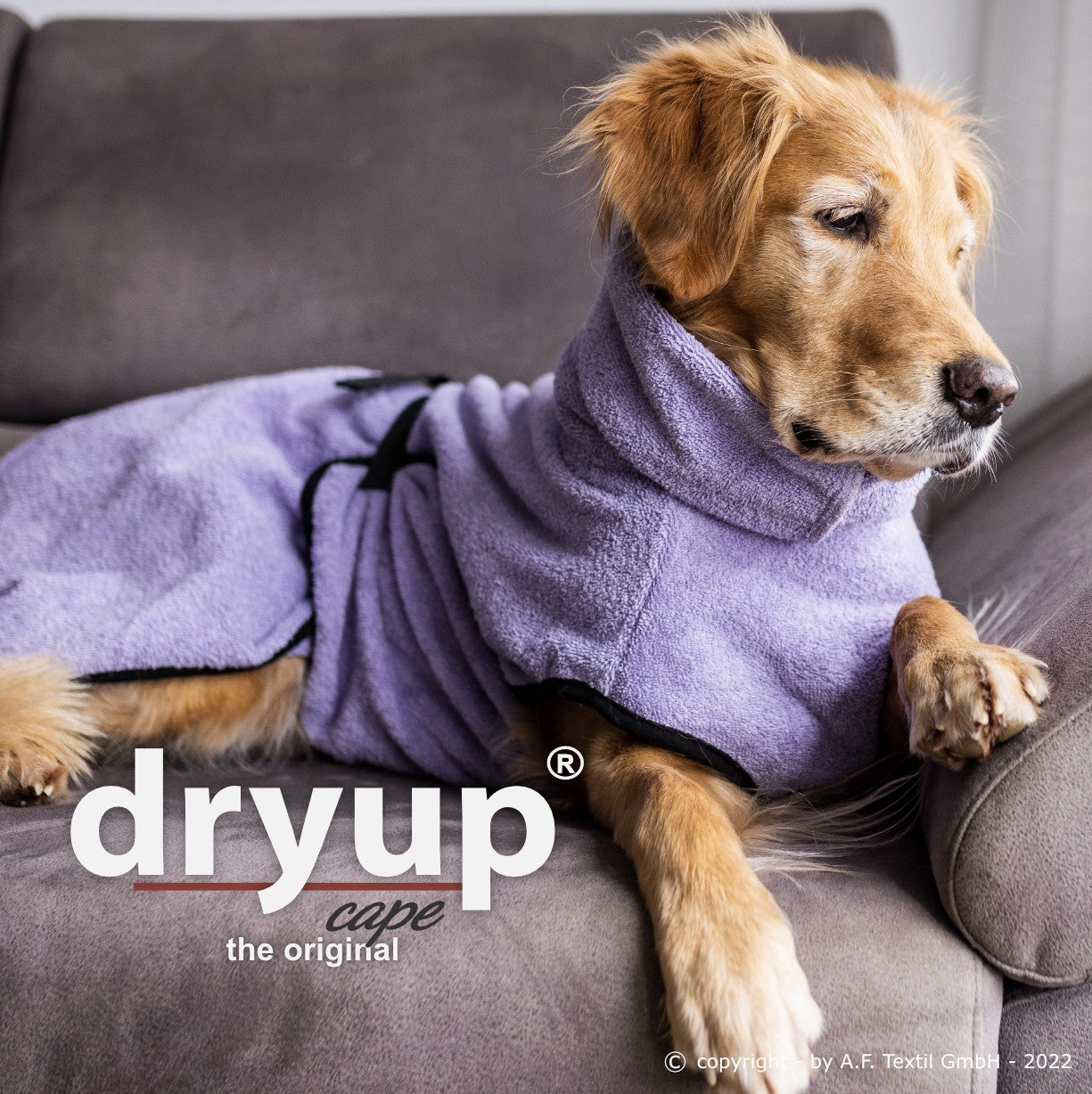 Hundebademantel "Dryup® Cape" von Actionfactory