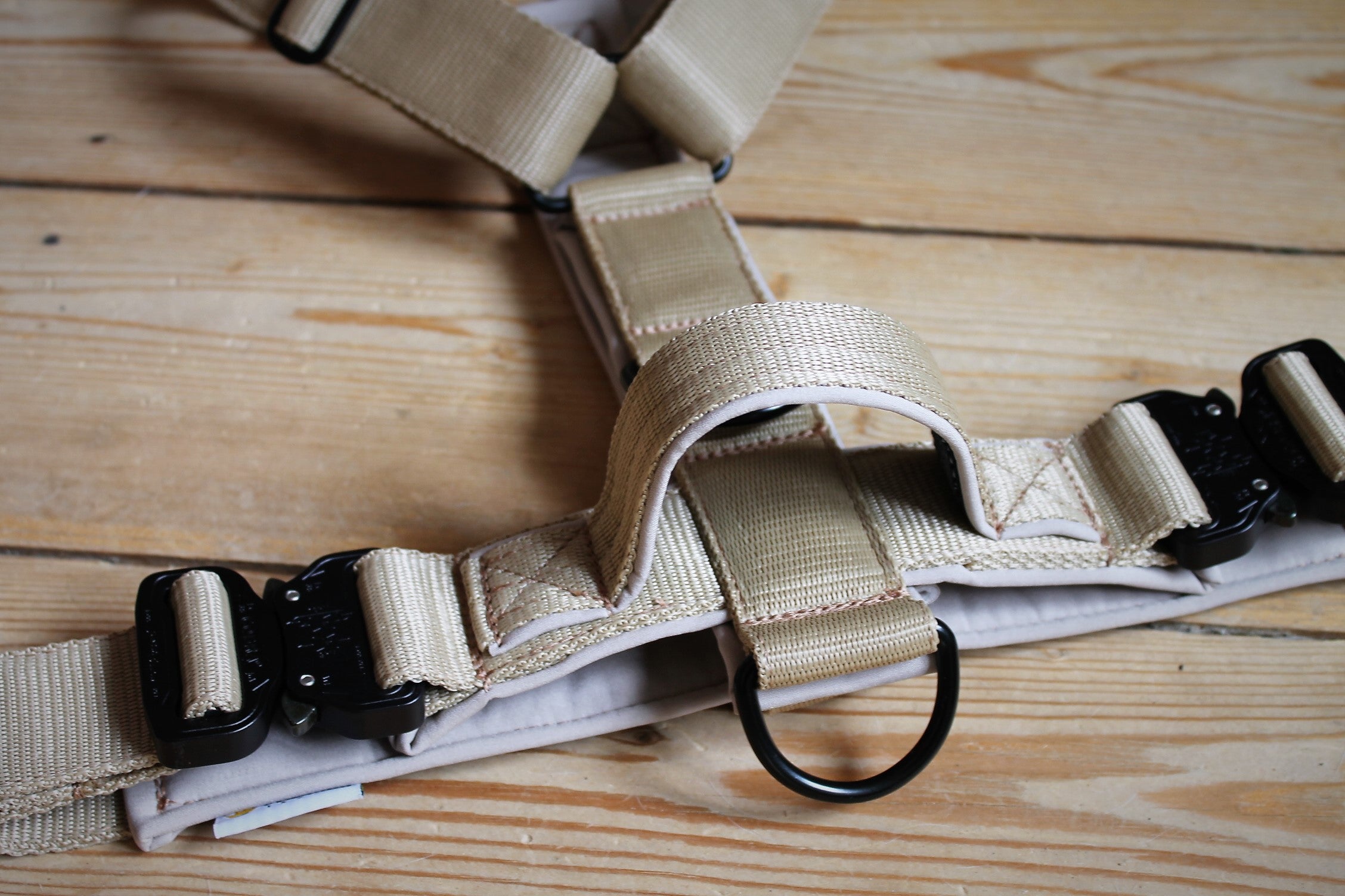 Mein Krönchenträger Geschirr