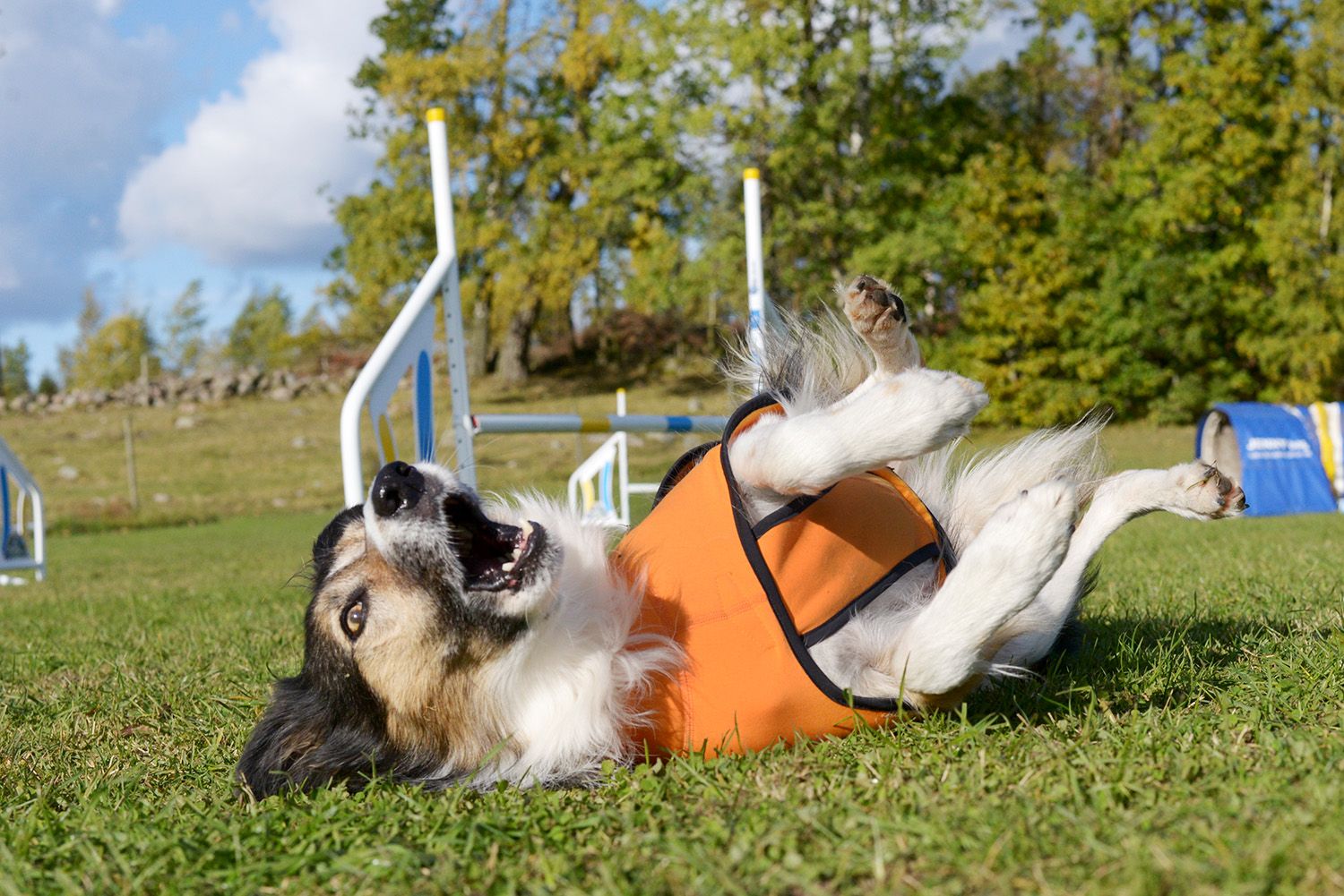 Hundemantel "Power Stretch" Out-n-out