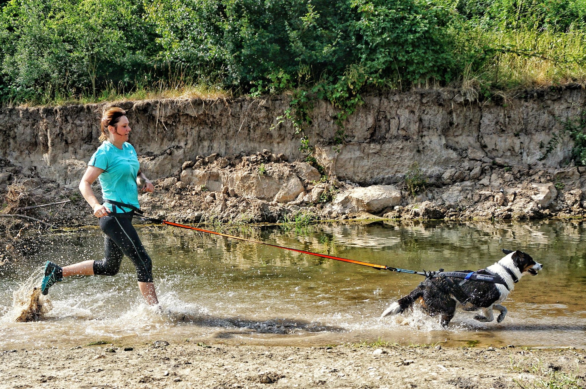 Leine "Bungee Leash" von Non-Stop dogwear