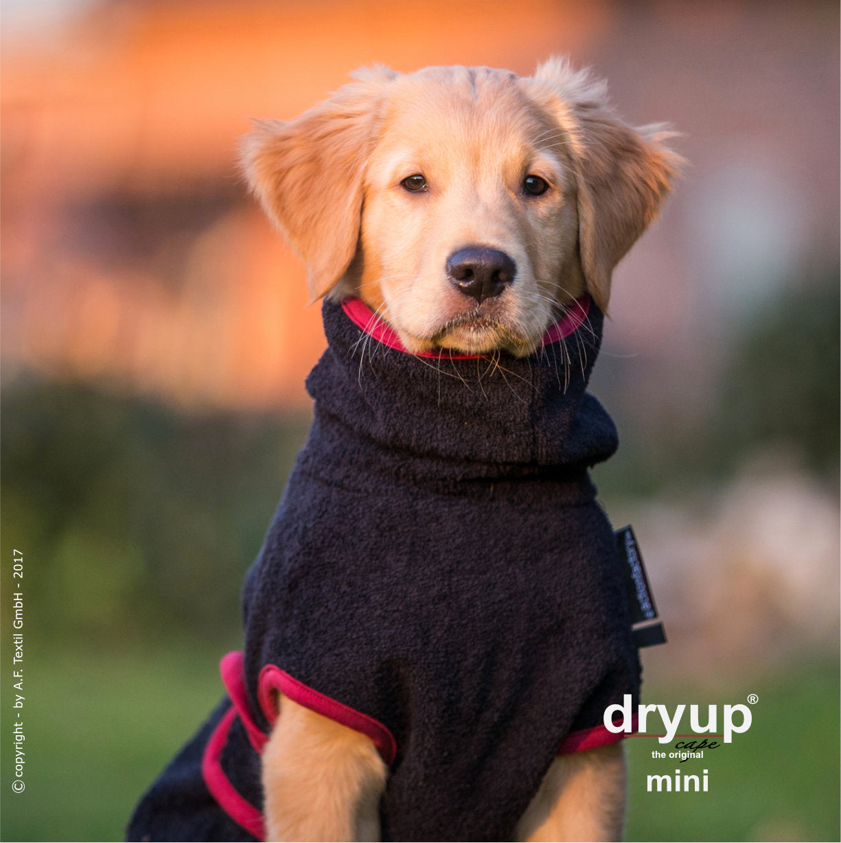 Hundebademantel "Dryup® Cape Mini" von Actionfactory