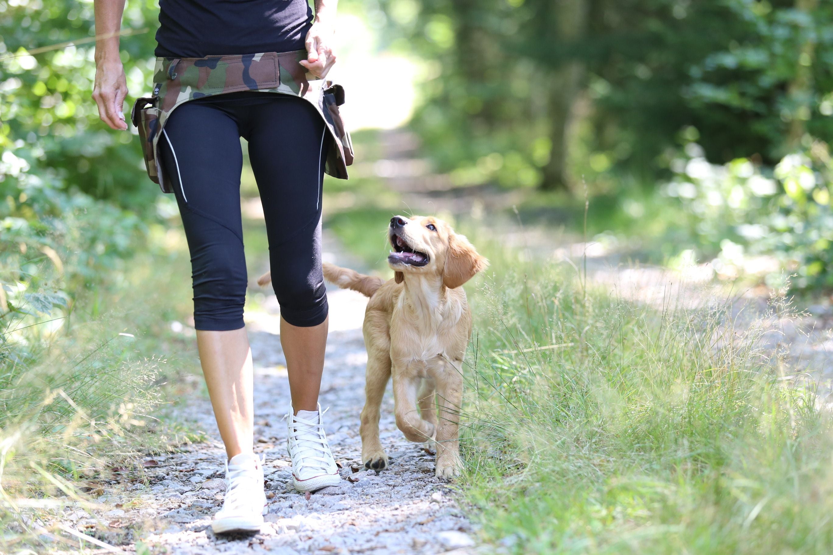 Hüfttasche AddPocket
