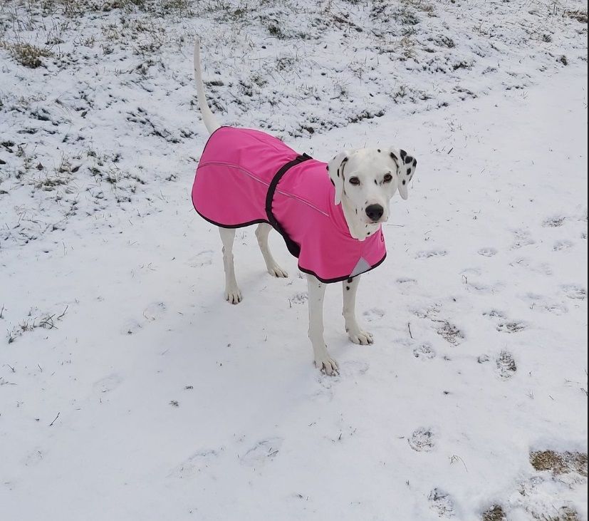 Softshellmäntel Neon von HelsiTar