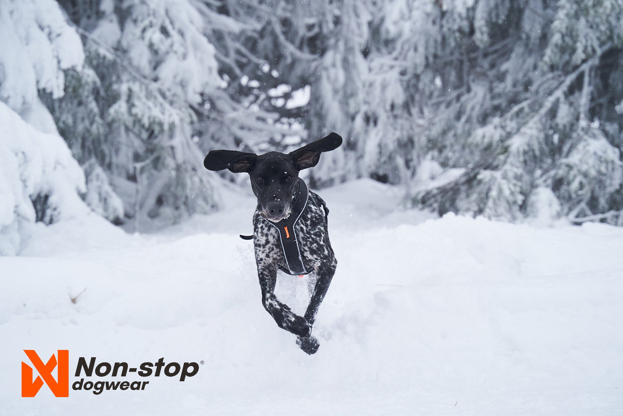 Geschirr "Line Harness Grip" von Non-stop dogwear