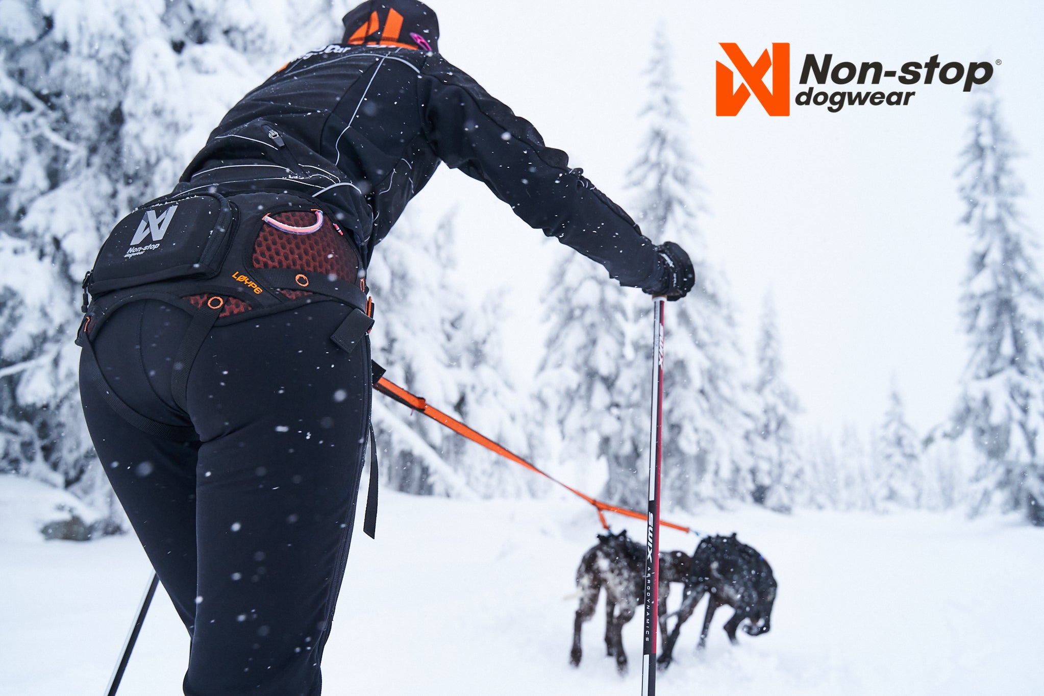 Gurt "LØYPE Belt" von Non-stop dogwear