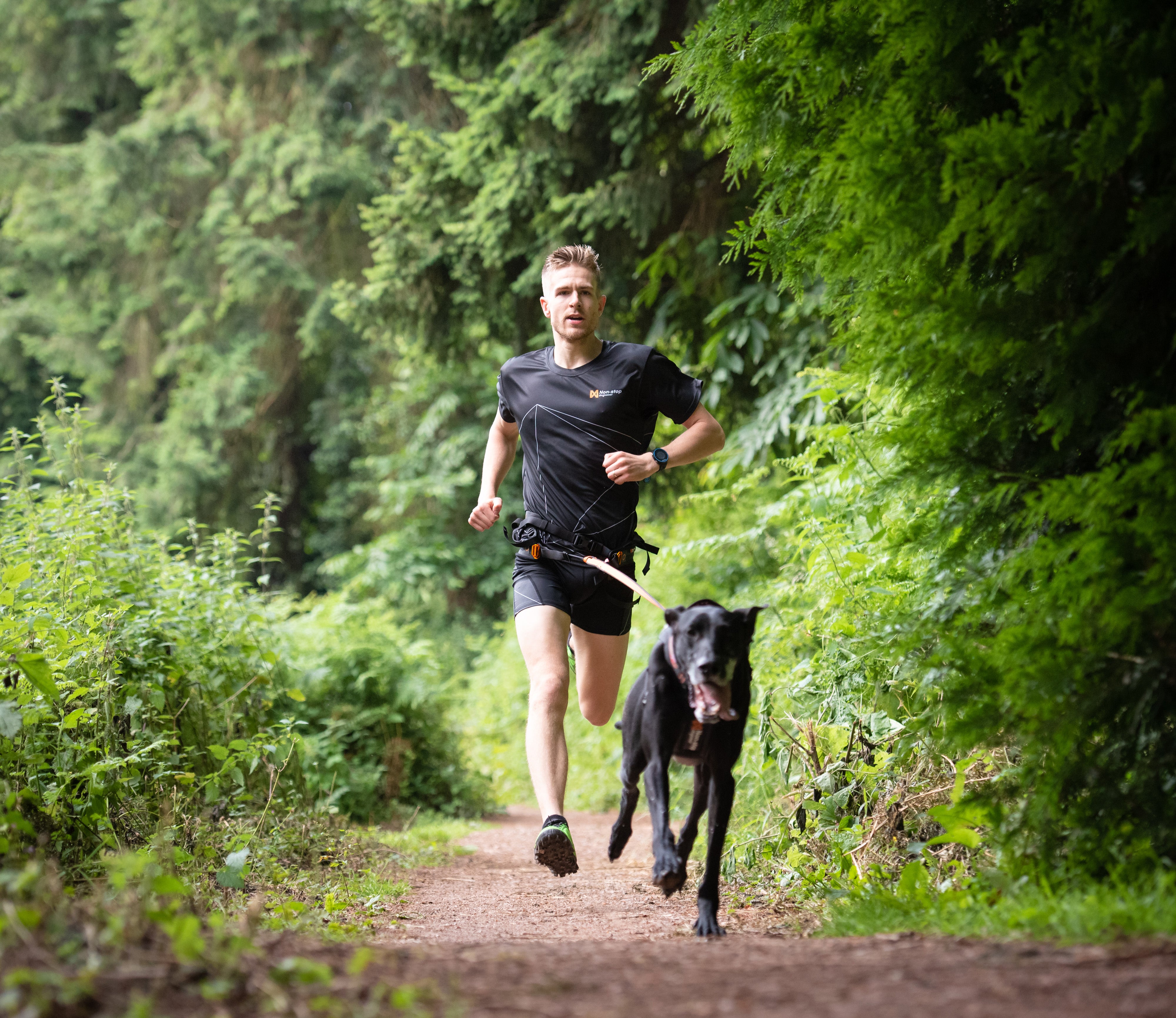 Gurt "CaniX Belt" von Non-stop dogwear