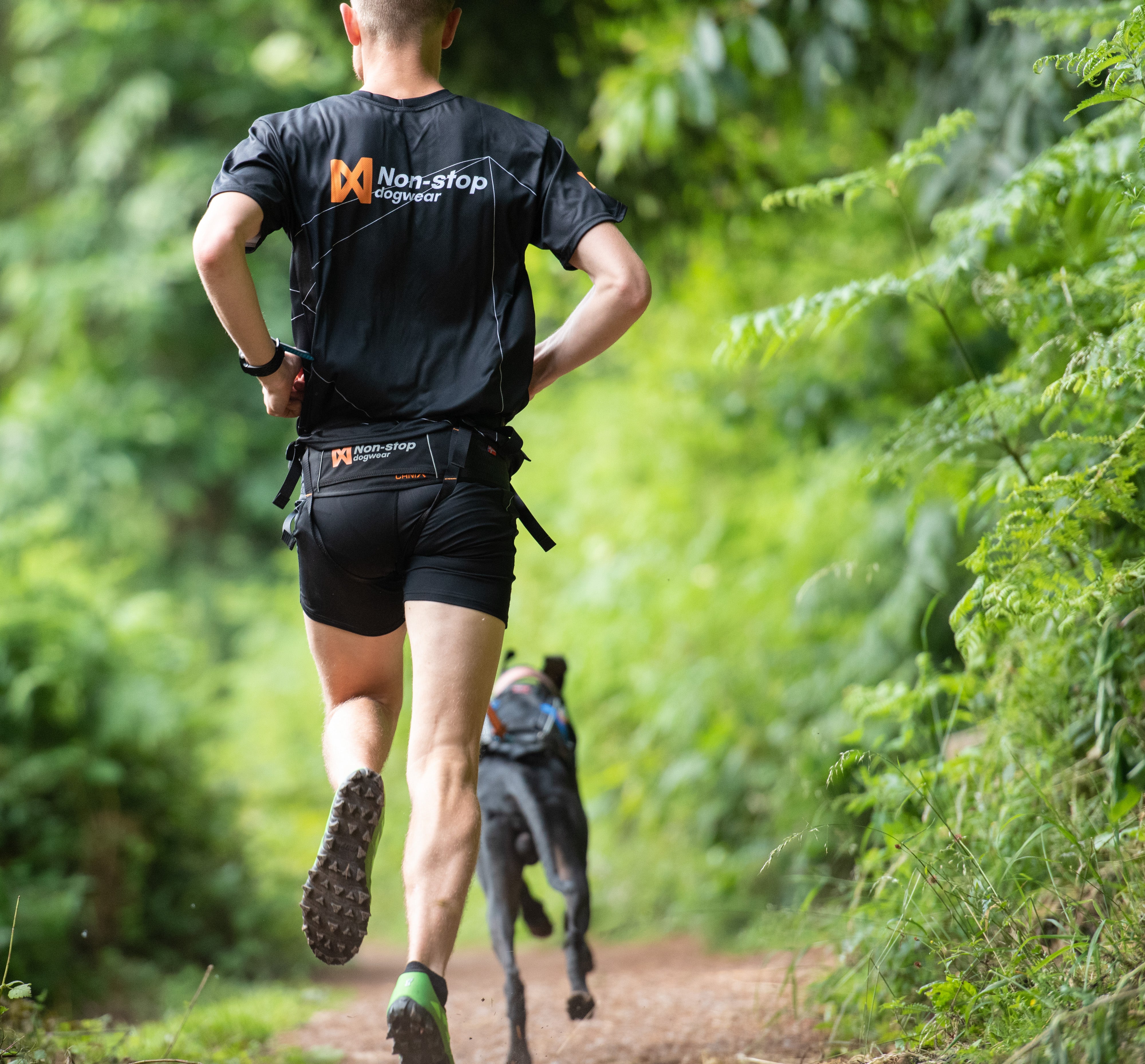 Gurt "CaniX Belt" von Non-stop dogwear