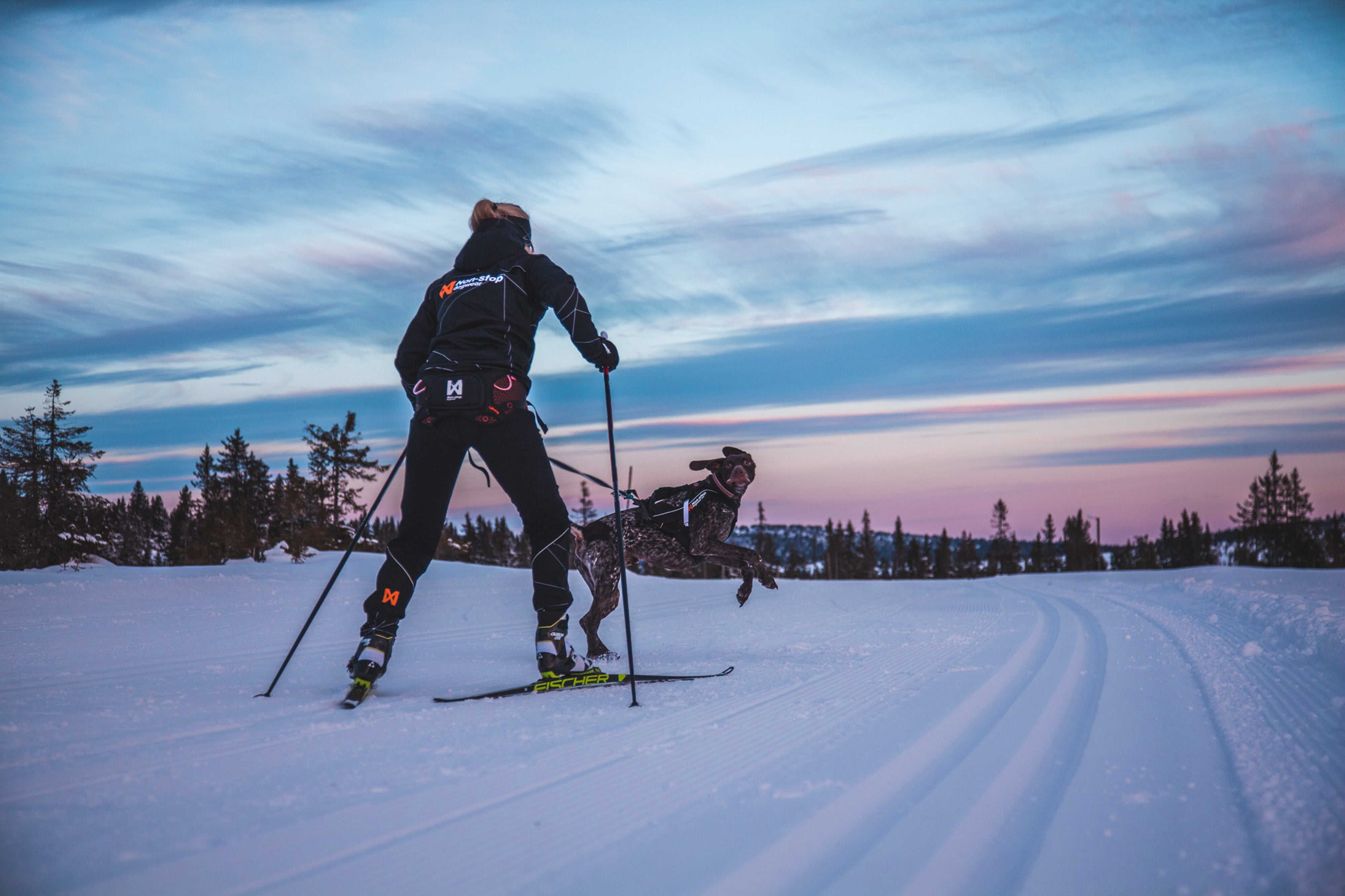 Gurt "LØYPE Belt" von Non-stop dogwear