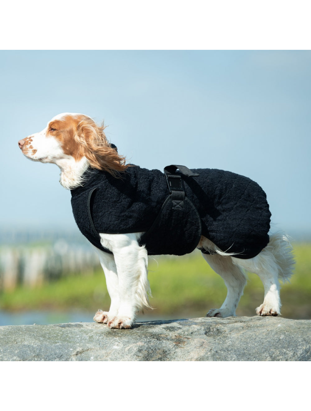 Trockenmantel "Smart" Siccaro