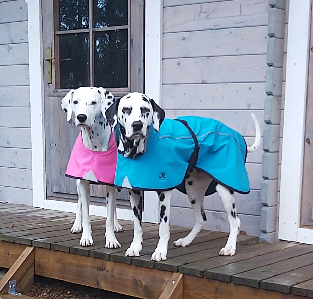 Softshellmäntel Neon von HelsiTar